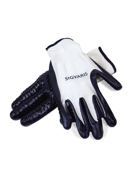 Latex-Free Gloves