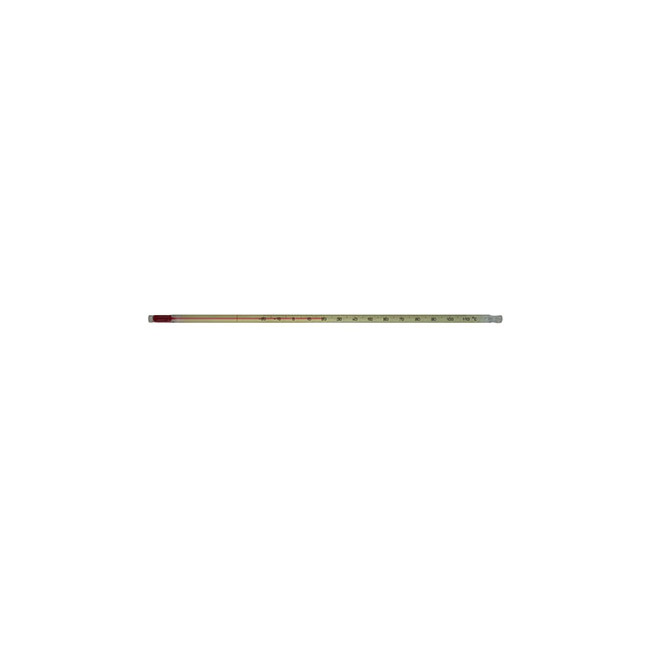 Bath Thermometer