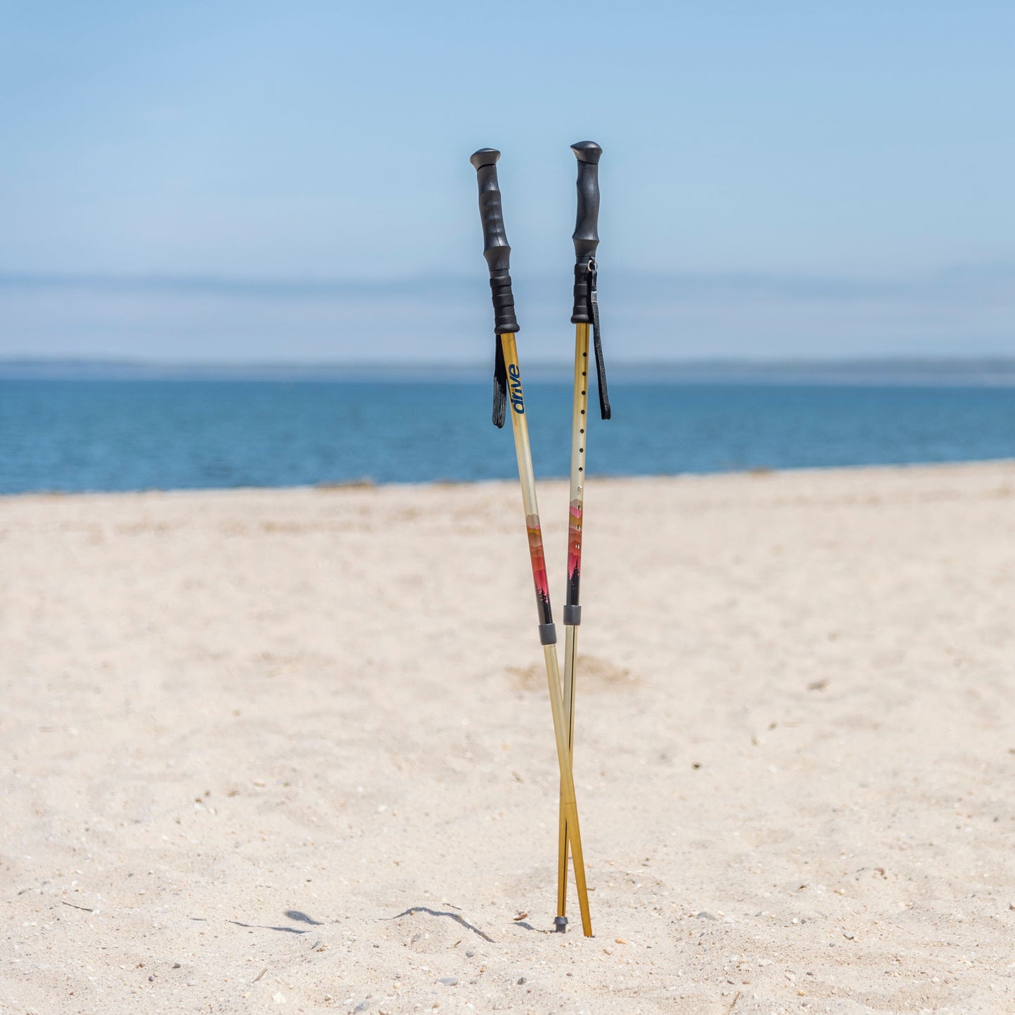 Summit Walking Poles