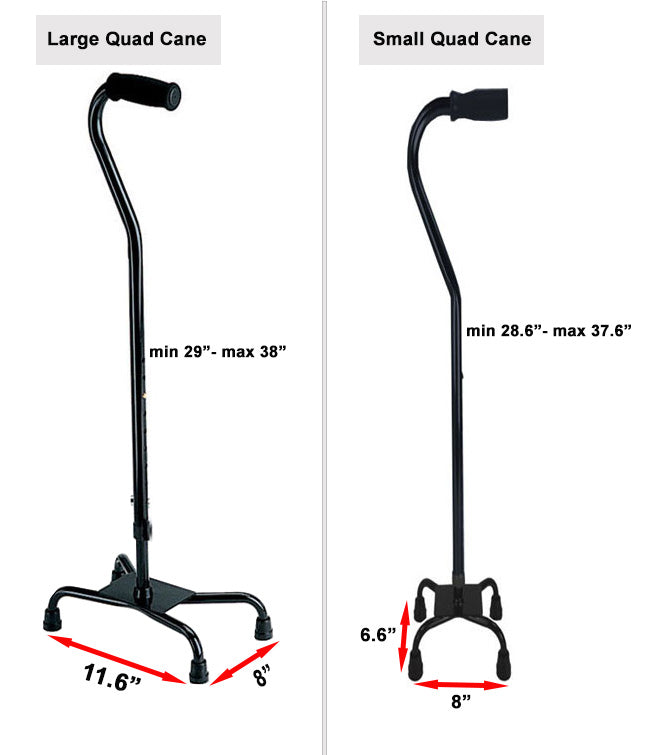 Quad Cane: Black