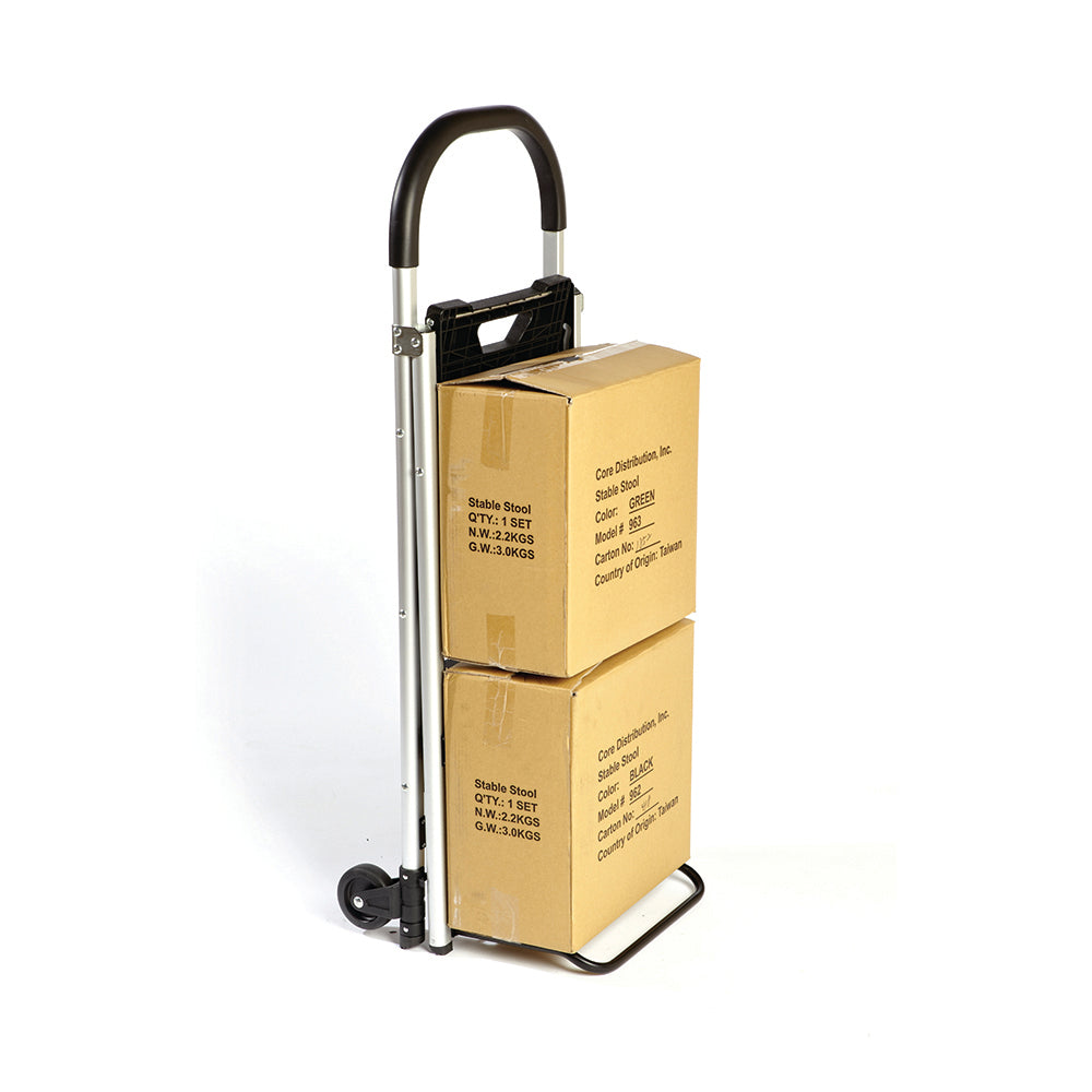 Step Stool Ladder with Trolley