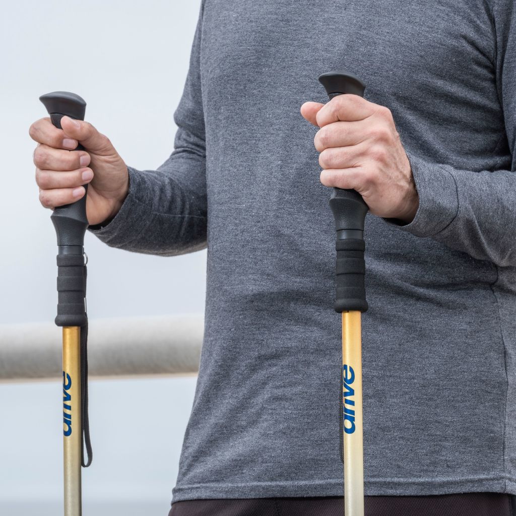 Drive Summit™ Walking Poles