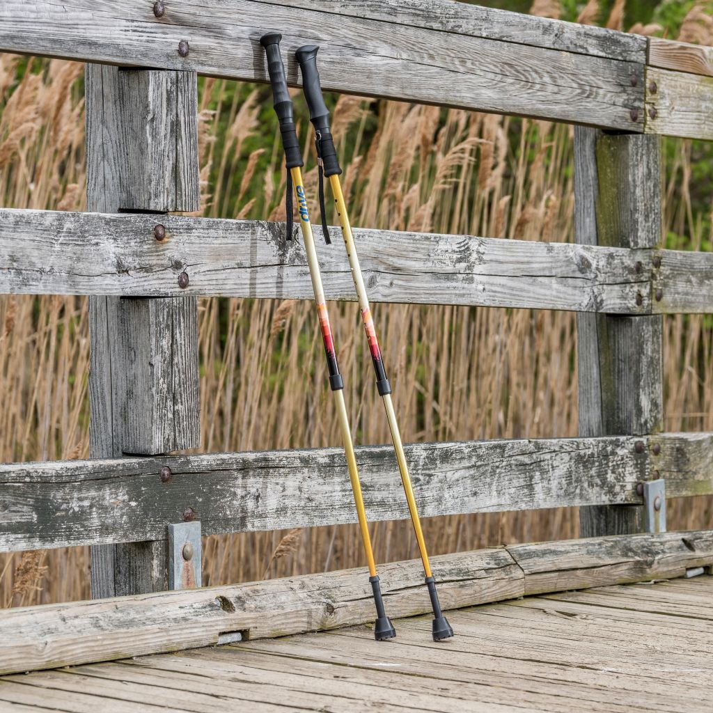 Drive Summit™ Walking Poles