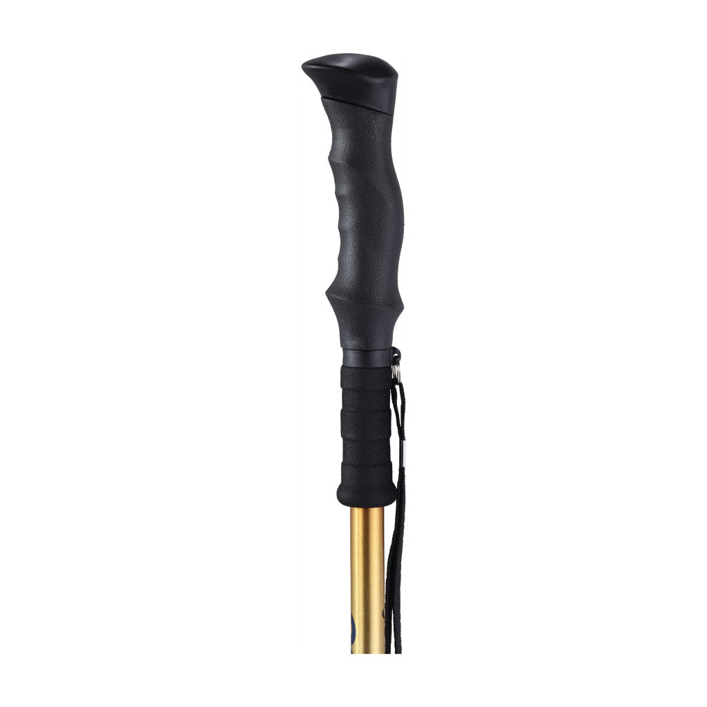 Drive Summit™ Walking Poles