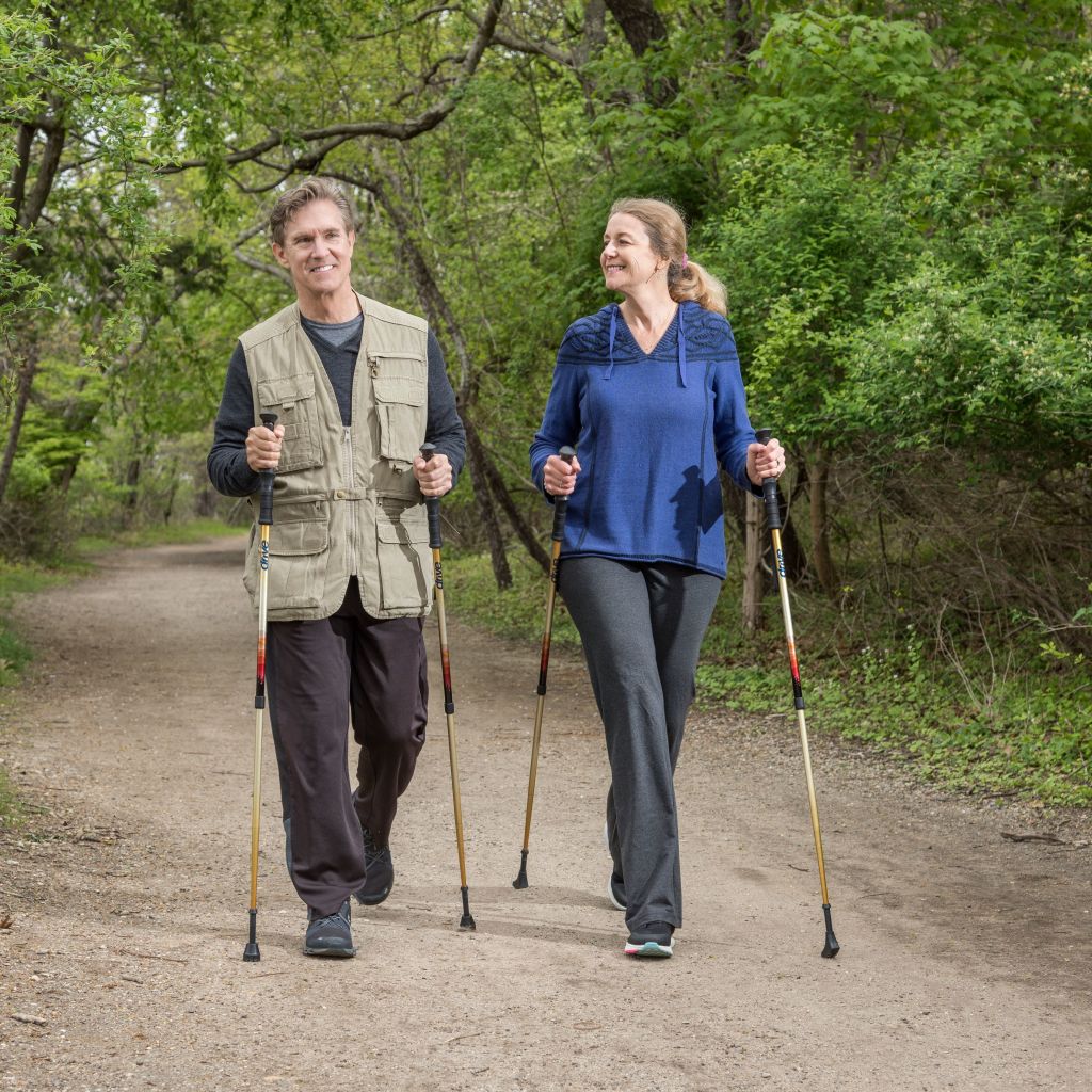 Drive Summit™ Walking Poles
