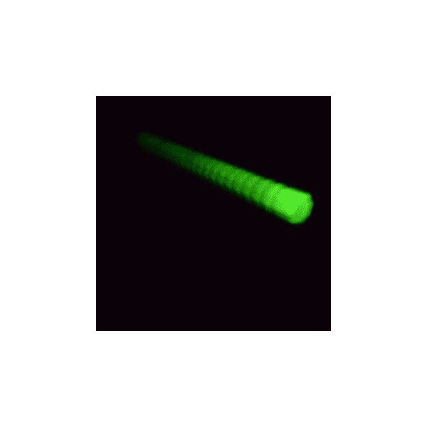 Safety Glo® Bed Rail